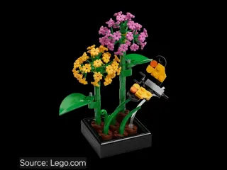 LEGO 6586991/5009408 Butterfly Garden (Botanicals)