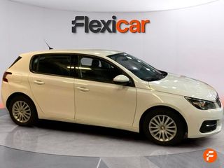 Peugeot 308 5P Business Line BlueHDi 100 S&S 6V MAN