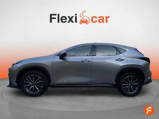Lexus NX 350h Business City 4WD