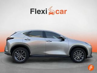 Lexus NX 350h Business City 4WD