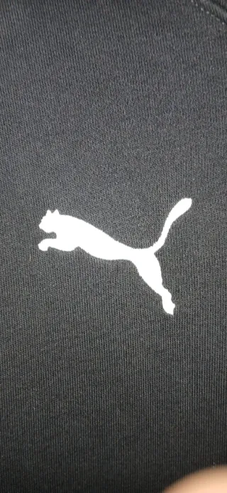 Sudadera Puma Negra Futedu Academy