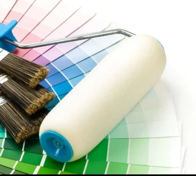 Pintor económico profesional