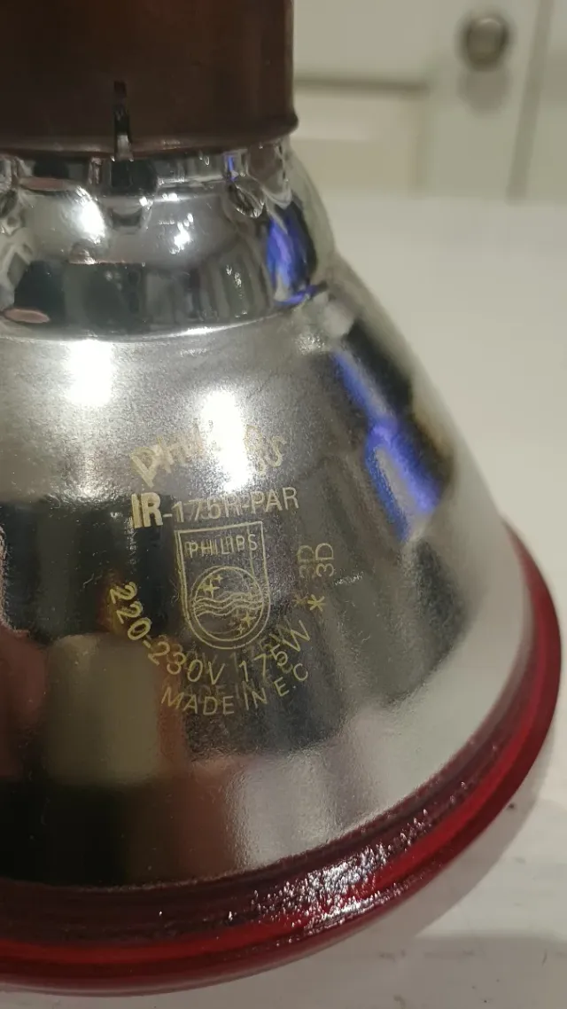 Lampada a Infrarossi Philips