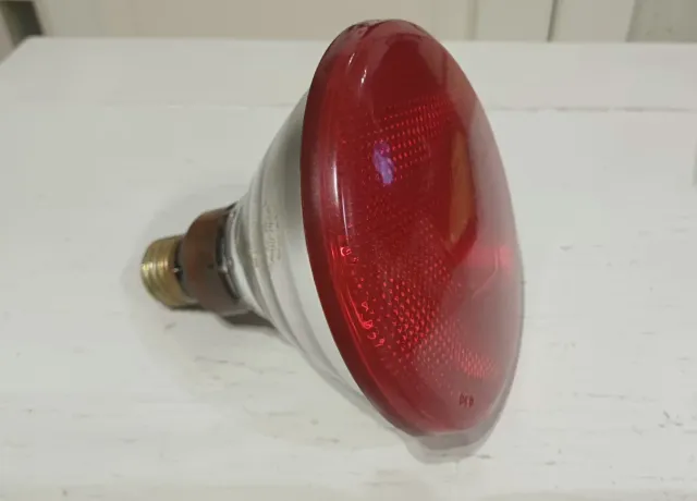 Lampada a Infrarossi Philips