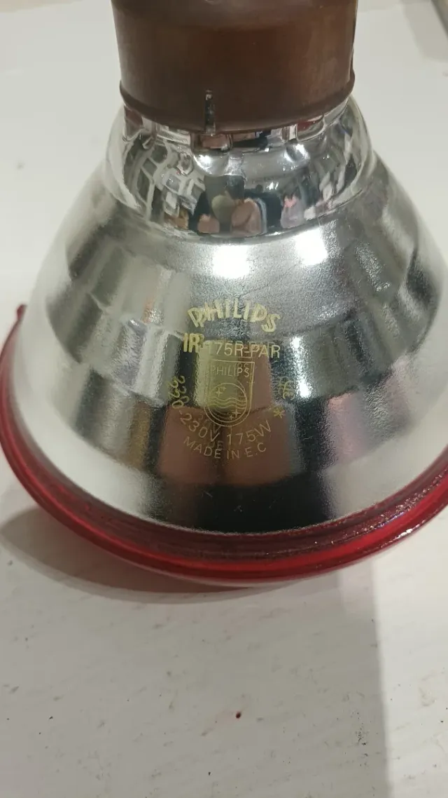 Lampada a Infrarossi Philips