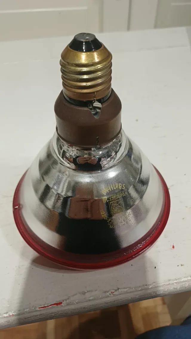 Lampada a Infrarossi Philips