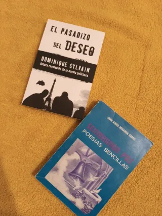 Lote B. 18 libros de bolsillo