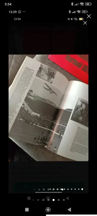 Lote libros y diccionario Inglés