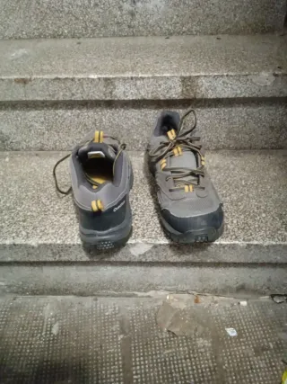 Zapatos de montaña Arpenaz 100 Talla 42