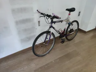 Bicicleta Montaña Mount Gamble Shimano