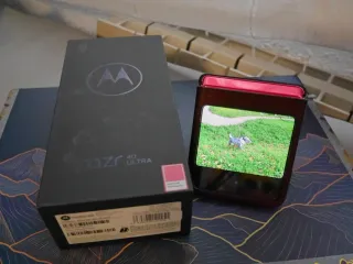 Motorola RAZR 40 Ultra Rosa