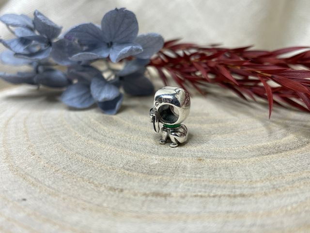 Charms Disney Pluto Rey Leon Simba Dalmata