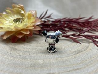 Charms Disney Pluto Rey Leon Simba  Dalmata