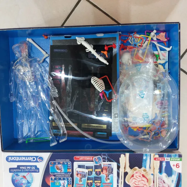 Gioco Scienza Corpo Umano Clementoni