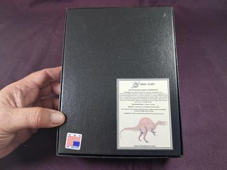 Diente de Dinosaurio,Spinosaurus aegyptiacus