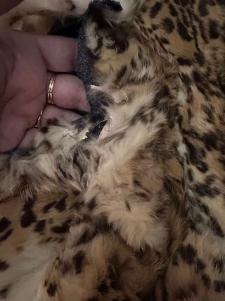 Chaleco Piel Leopardo piel auténtica para reparar