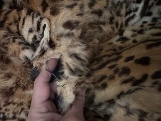 Chaleco Piel Leopardo piel auténtica para reparar