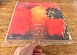 100 Fundas para Discos Vinilo LP