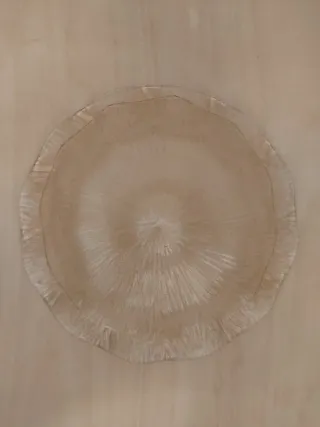 Plafoniera in vetro trasparente