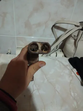 Cañón trampa antiguo