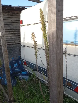 Caravana no necesita ITV