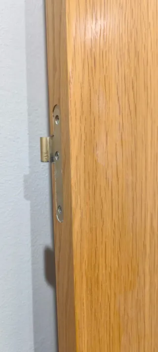 Puerta interior de madera