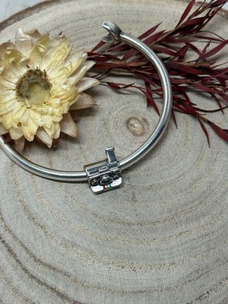 Charm Camara Polaroid