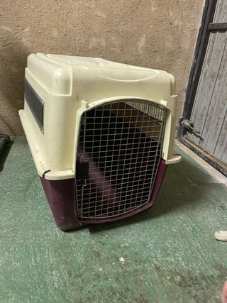 Transportín perro