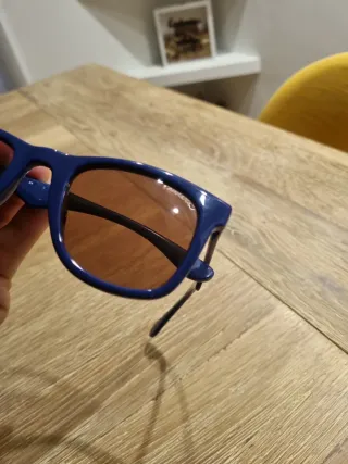 Gafas Carrera Azul Marrón