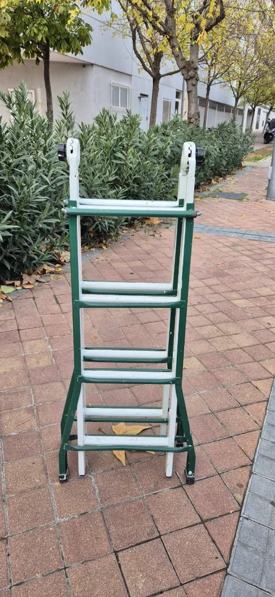 Escalera extensible profesional