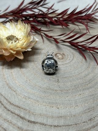 Charm Mariquita Rosa