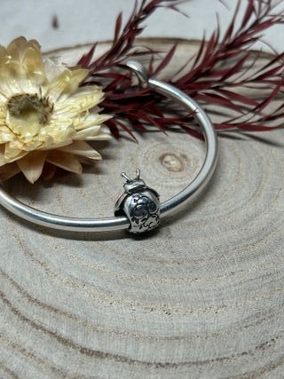 Charm Mariquita Rosa