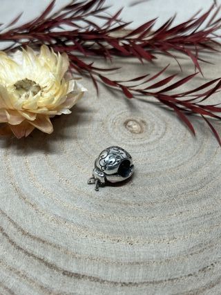 Charm Mariquita Rosa