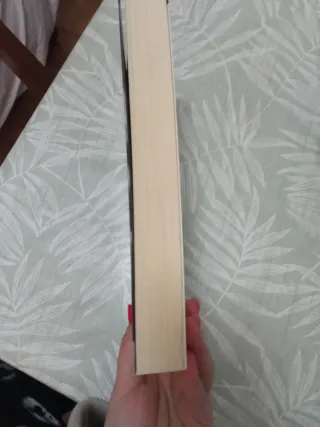 Irène (Un caso del comandante Camille Verhoeven...