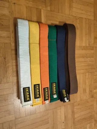 Conjunto cinturones artes marciales IKARA