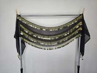 Falda de danza del vientre con monedas.