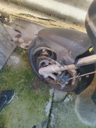 Guardabarros delantero TGB XMOTION y tapa cofre