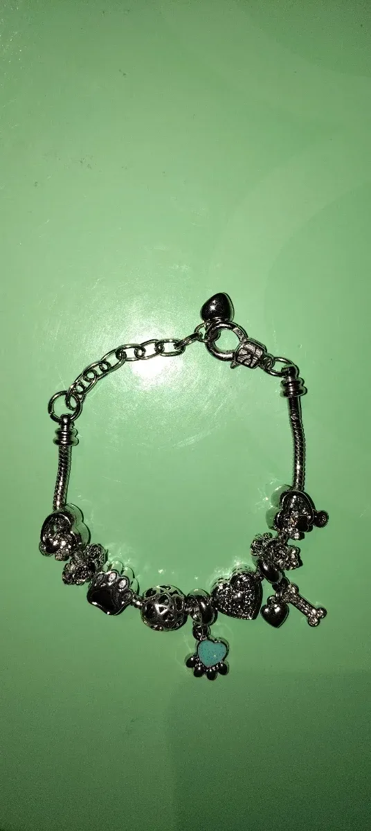 Pulsera tipo Pandora con charms