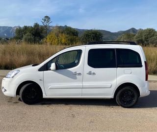Citroen Berlingo Techo Panoramico