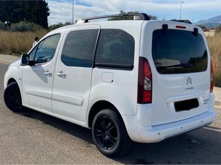 Citroen Berlingo Techo Panoramico