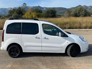 Citroen Berlingo Techo Panoramico