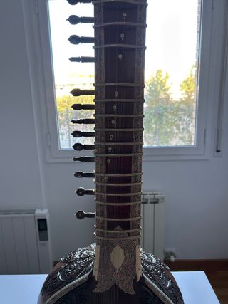 sitar negro con funda