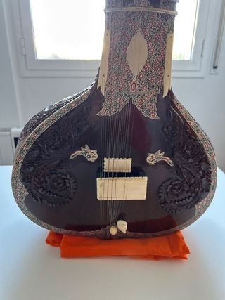 sitar negro con funda