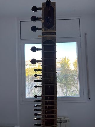 sitar negro con funda