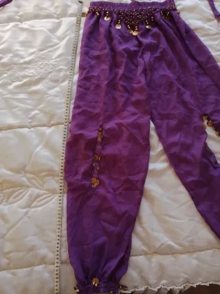 Traje Danza Oriental Morado y Dorado