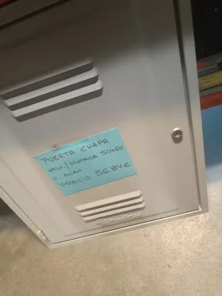 Puerta Chapa Galvanizada/Pintada 50x60