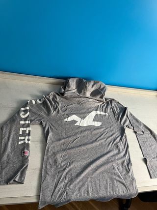 Sudadera Hollister gris con logo