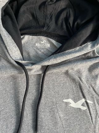 Sudadera Hollister gris con logo