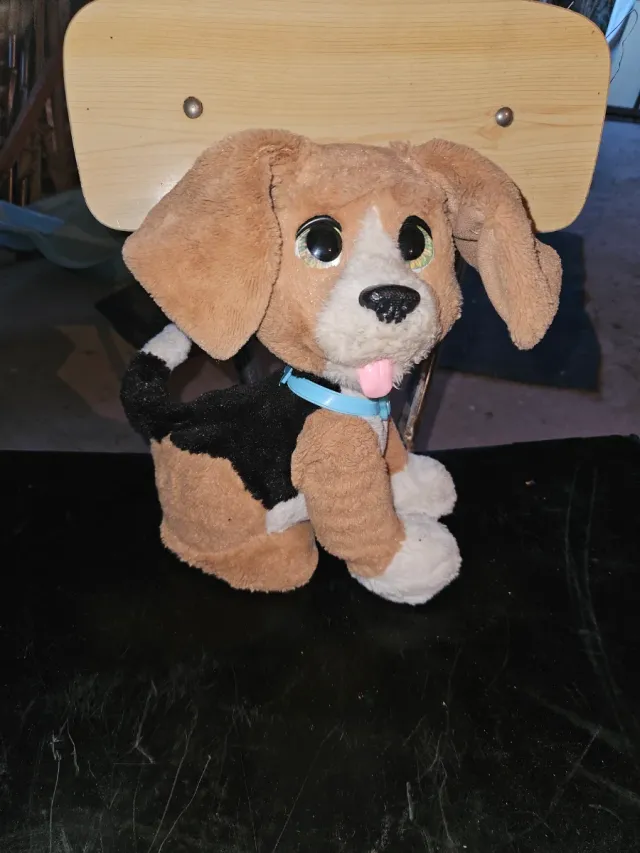 Peluche cane beagle