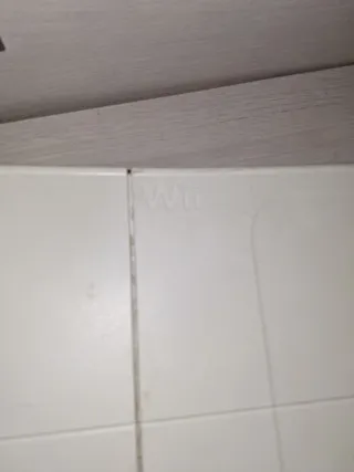 Tavoletta di equilibrio Wii Balance Board Nintendo